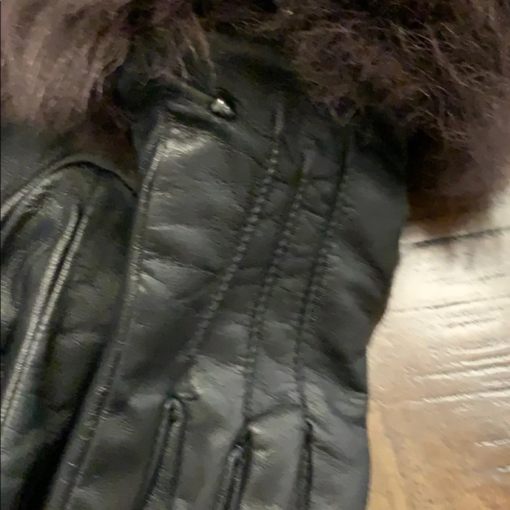 Fownes Brothers Gloves